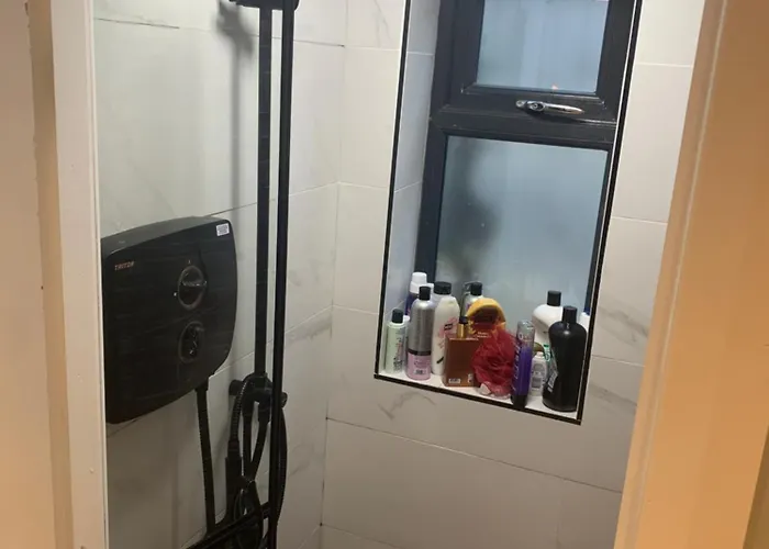 Wake Up With 2 Cats On Your Face * ダブリン