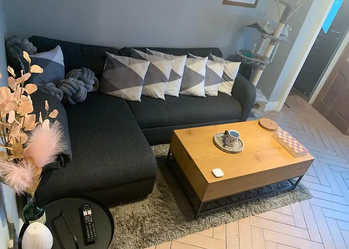 Wake Up With 2 Cats On Your Face Penzion