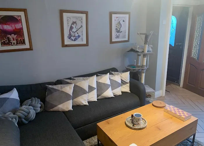 Wake Up With 2 Cats On Your Face *