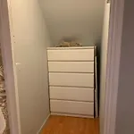 Wake Up With 2 Cats On Your Face * ダブリン