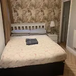 Wake Up With 2 Cats On Your Face *