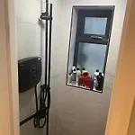 Wake Up With 2 Cats On Your Face * ダブリン