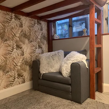 Wake Up With 2 Cats On Your Face Dublin