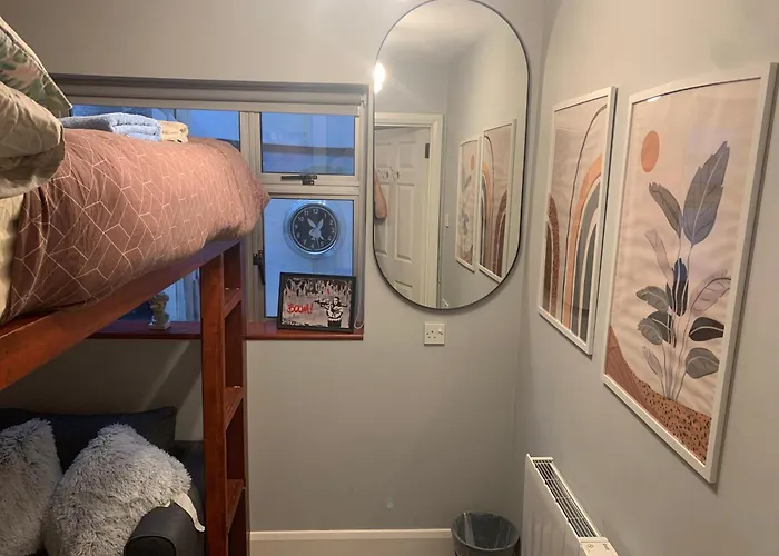 Pensionat Wake Up With 2 Cats On Your Face Dublin