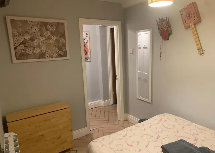 Wake Up With 2 Cats On Your Face Pensionat Dublin