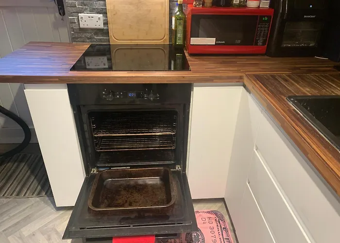 Pensionat Wake Up With 2 Cats On Your Face Dublin