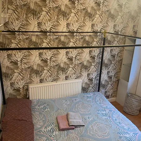 Konukevi Wake Up With 2 Cats On Your Face *