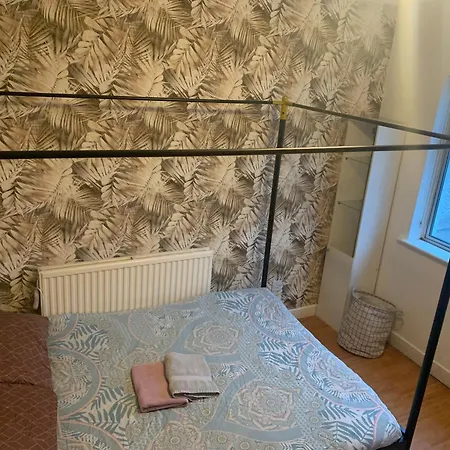 Wake Up With 2 Cats On Your Face Konukevi *