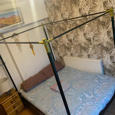 Konukevi Wake Up With 2 Cats On Your Face Dublin