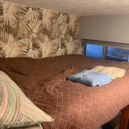 Konukevi Wake Up With 2 Cats On Your Face *