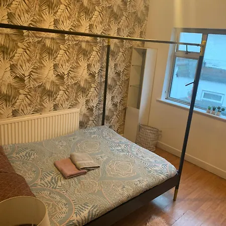 Konukevi Wake Up With 2 Cats On Your Face Dublin