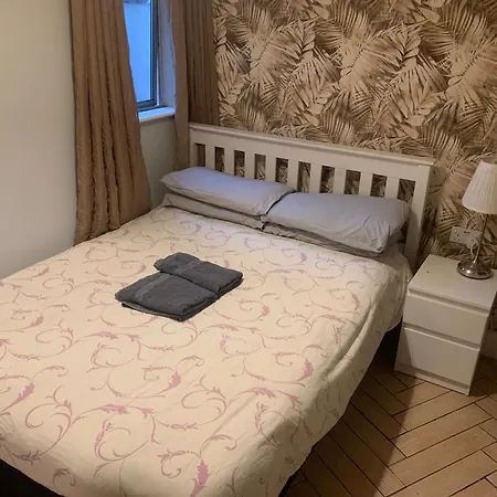 Wake Up With 2 Cats On Your Face