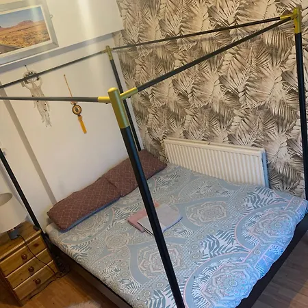 Wake Up With 2 Cats On Your Face * Dublin