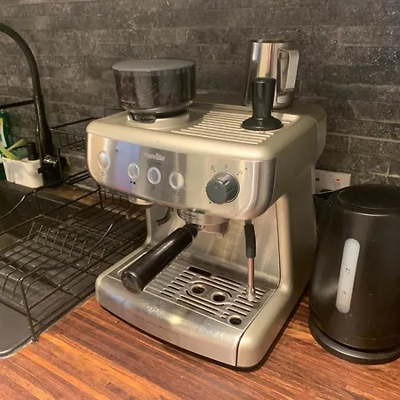 Wake Up With 2 Cats On Your Face Dublin