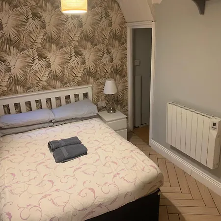 Wake Up With 2 Cats On Your Face