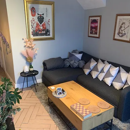 Wake Up With 2 Cats On Your Face Konukevi