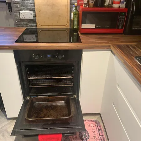 Konukevi Wake Up With 2 Cats On Your Face Dublin