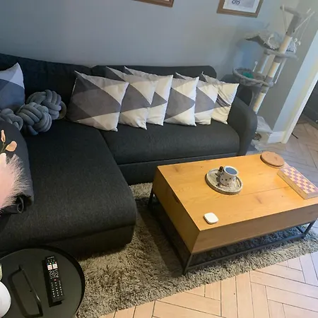 Wake Up With 2 Cats On Your Face Konukevi