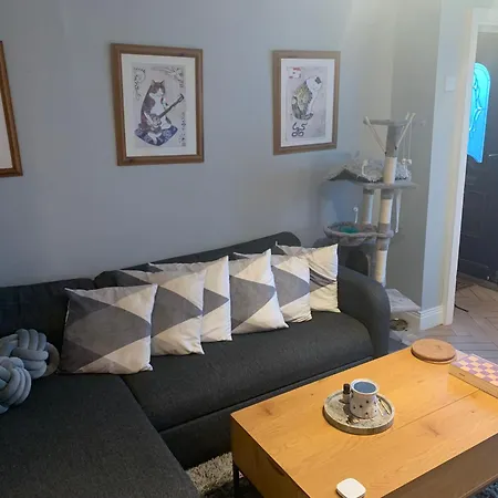 Wake Up With 2 Cats On Your Face *