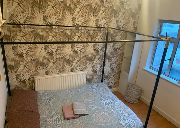 Wake Up With 2 Cats On Your Face 招待所 *