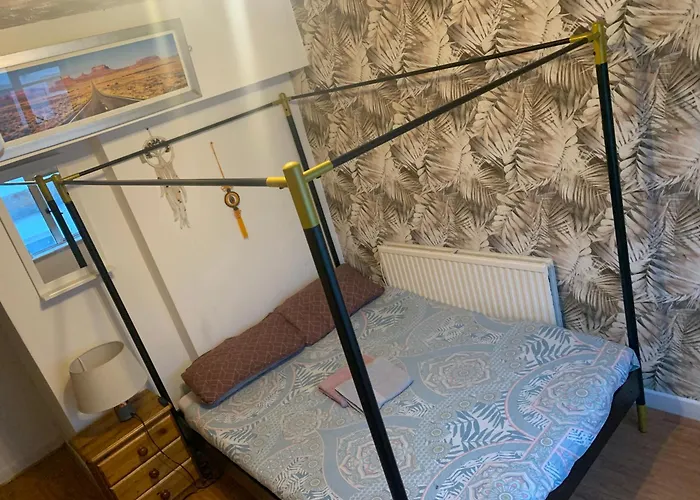 招待所 Wake Up With 2 Cats On Your Face 都柏林