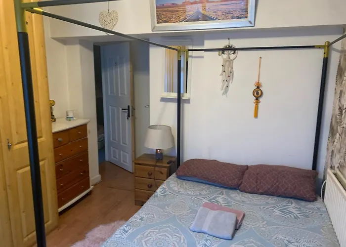 Wake Up With 2 Cats On Your Face 招待所 都柏林