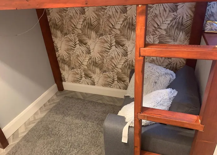 Wake Up With 2 Cats On Your Face 招待所 都柏林