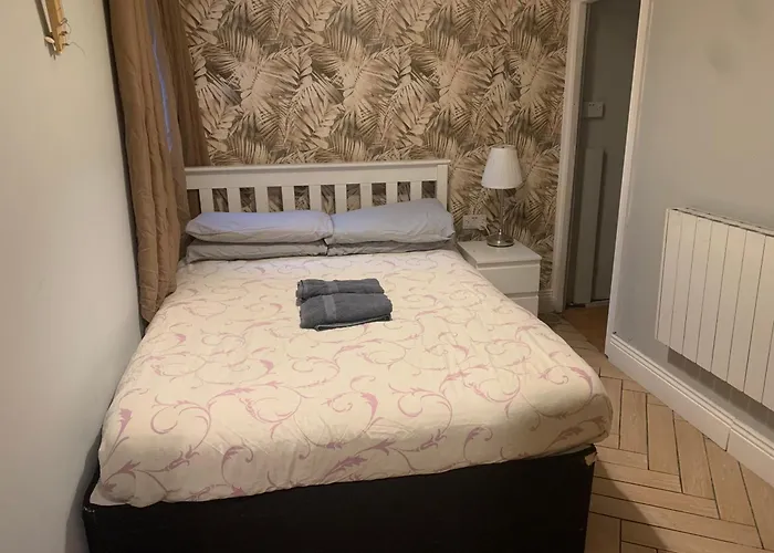 Wake Up With 2 Cats On Your Face *