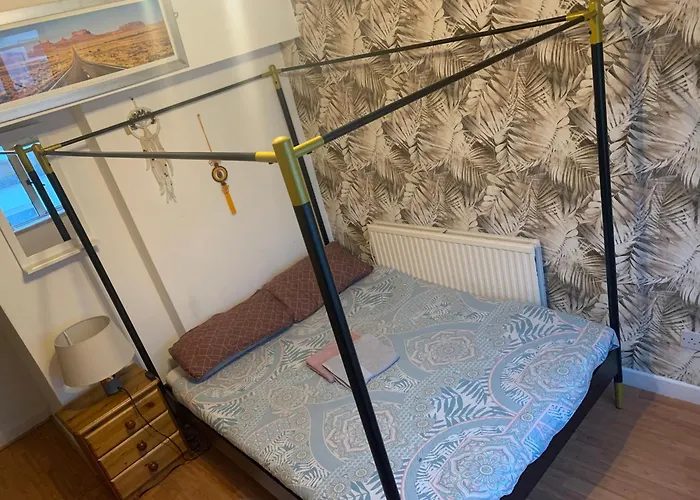 Wake Up With 2 Cats On Your Face * 都柏林