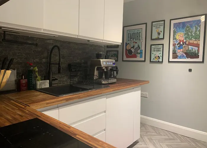 招待所 Wake Up With 2 Cats On Your Face