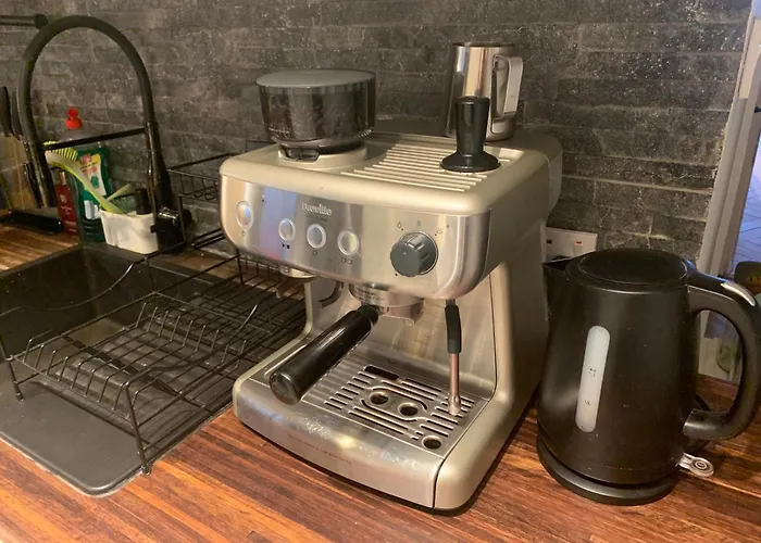 Wake Up With 2 Cats On Your Face 都柏林