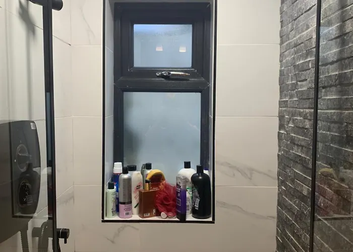 Wake Up With 2 Cats On Your Face 招待所