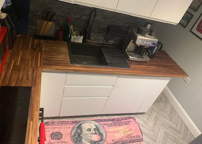 Wake Up With 2 Cats On Your Face 招待所 都柏林