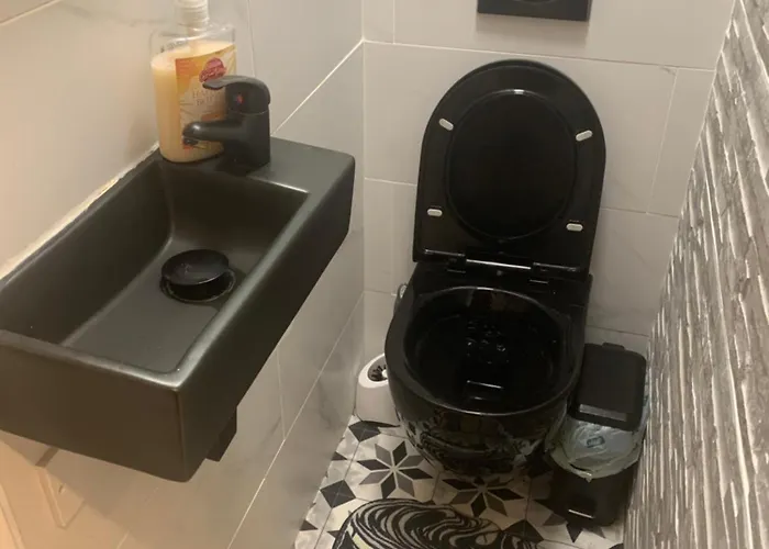 招待所 Wake Up With 2 Cats On Your Face 都柏林