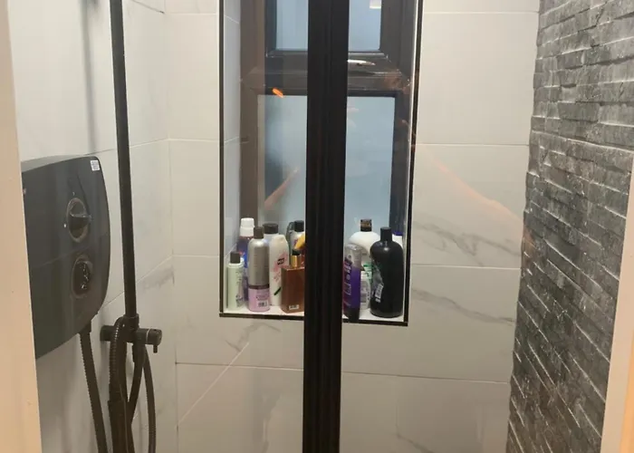 Wake Up With 2 Cats On Your Face 都柏林