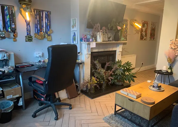 Wake Up With 2 Cats On Your Face 都柏林